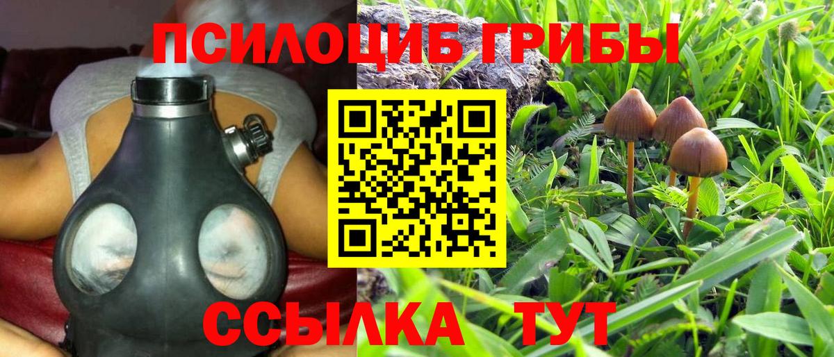 Псилоцибиновые грибы Magic Shrooms Новый Уренгой