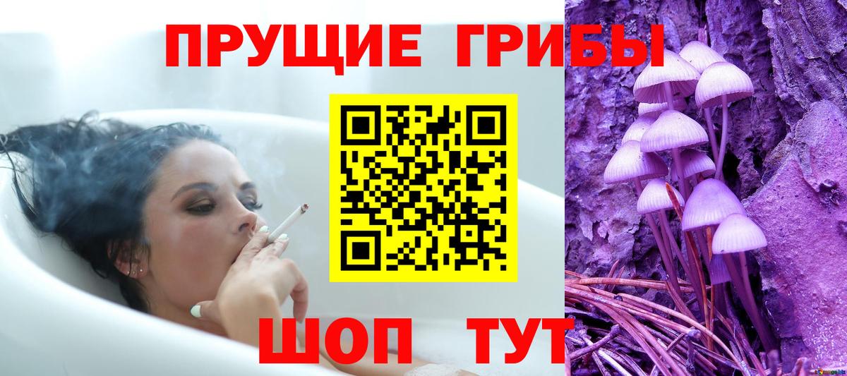 что такое   Псилоцибиновые грибы мицелий  Вход с VPN  Псилоцибиновые грибы Psilocybine cubensis  Новый Уренгой 